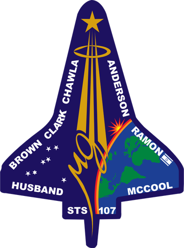 Vektor-Bild des Fluges STS-107-insignia